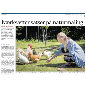Ringsted Dagblad 5. Juli 2019